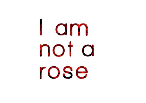 i am not a rose